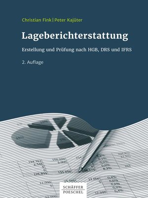cover image of Lageberichterstattung